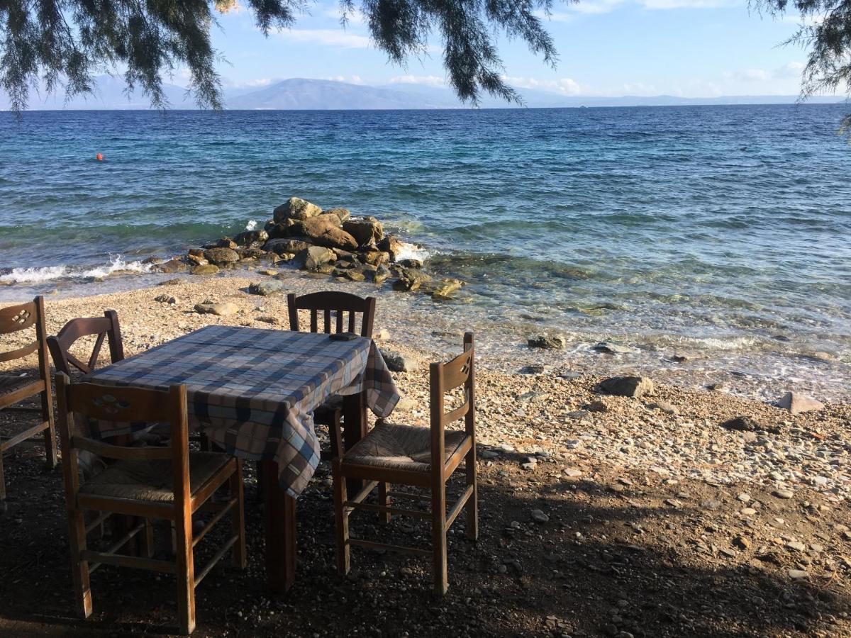 شقة Eratous Seaside House Varnavas المظهر الخارجي الصورة